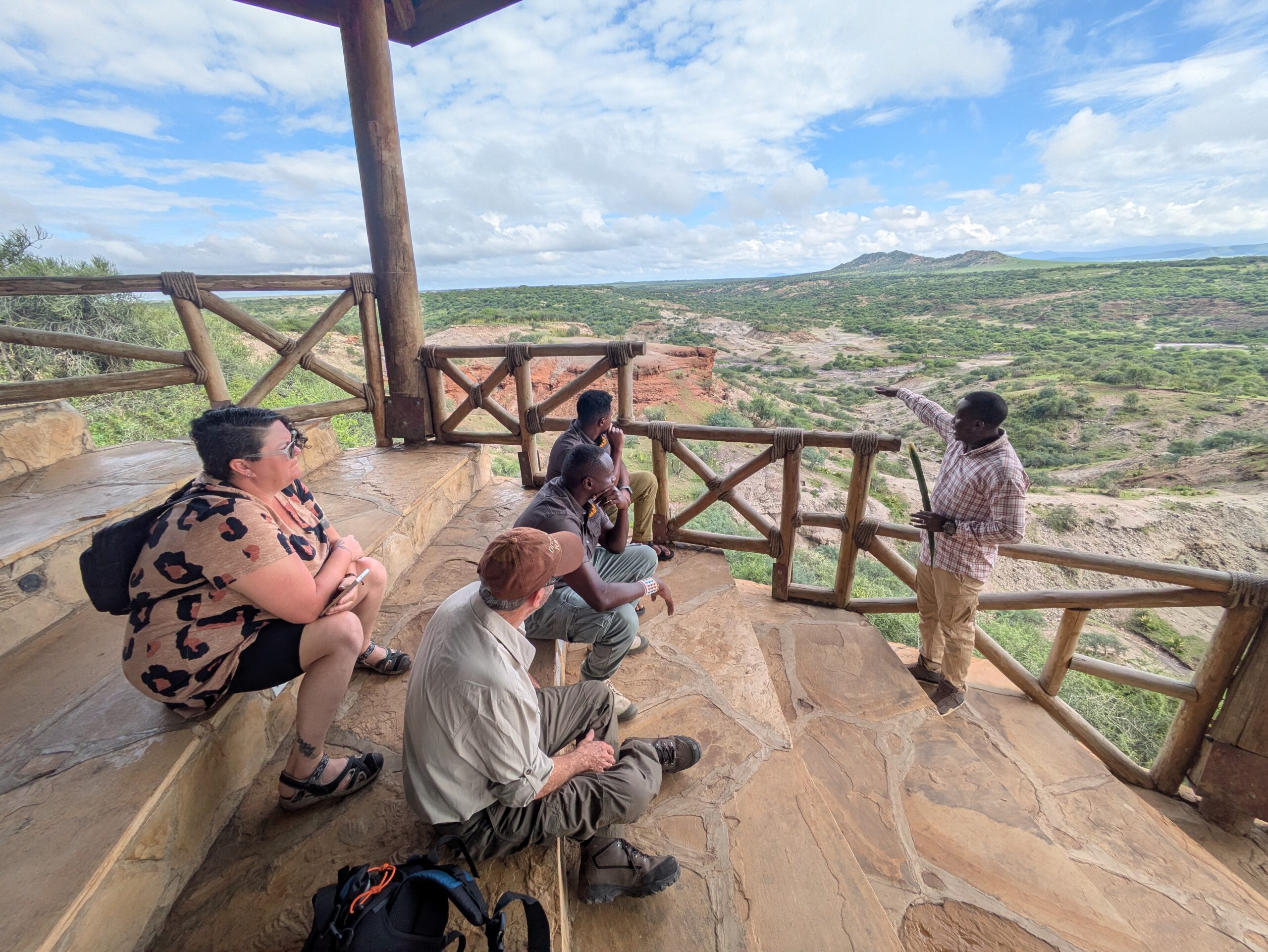 Wildebeest migration in the Serengeti